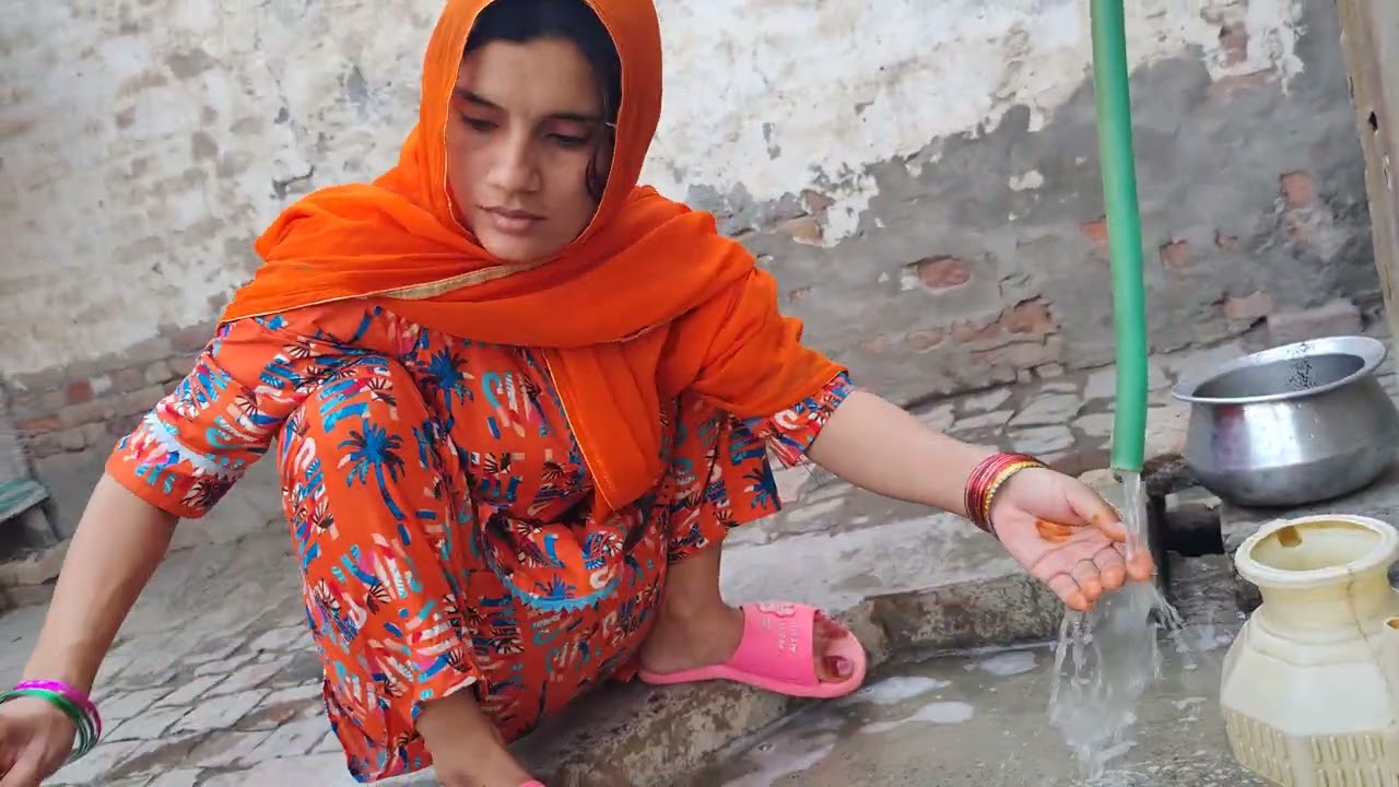 family vlog video entertainment video new vlog video desi blue video