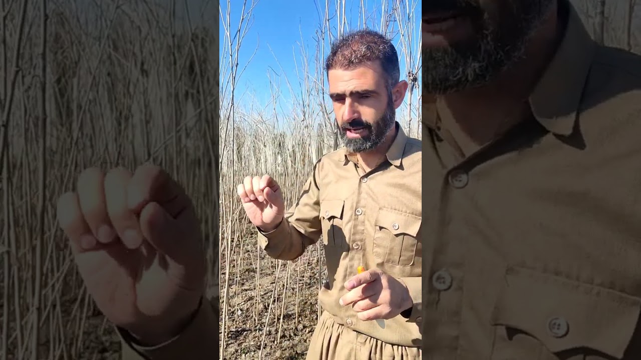 کاتەکانی مووتوربەکردن .زۆرگرنگە بۆ ئەوانەی ئارەزووی فێربوونی مووتوربەیان هەیە .