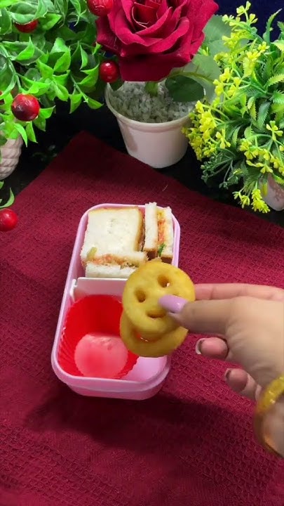 school-tiffin-idea-lunch-box-idea-lunch-pack-ideas-lunch-box-pack