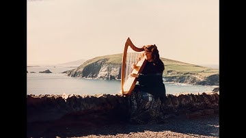Harp Therapy Introduction-01