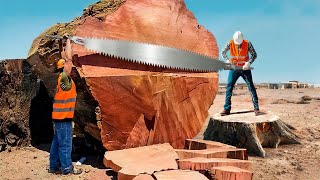 Dangerous Fastest Cutting Huge Tree Skills With Chainsaw, Fastest Logging Truck &amp; Woodworking