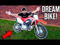 Buying the ULTIMATE PIT BIKE! Why is it the BEST?