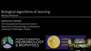 Boeing Colloquium: Biological Algorithms of Learning