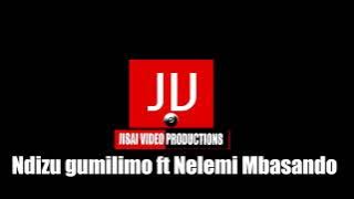 ndizu ft nelemi mbassando nyimbo mpya 2021 wamefanya kolabo