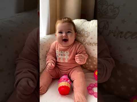 ههه غفور غفور اشترك في القناة طيور الجنة