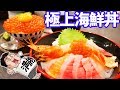 【飯テロ】漁港で食べる海鮮丼はやっぱり素晴らしい【裕太朗寿し】