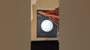 How to make a snake body brush for procreate #kindwatertattoo #procreate