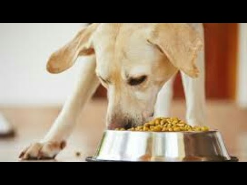 الدراى فود و أهميته و أضراره