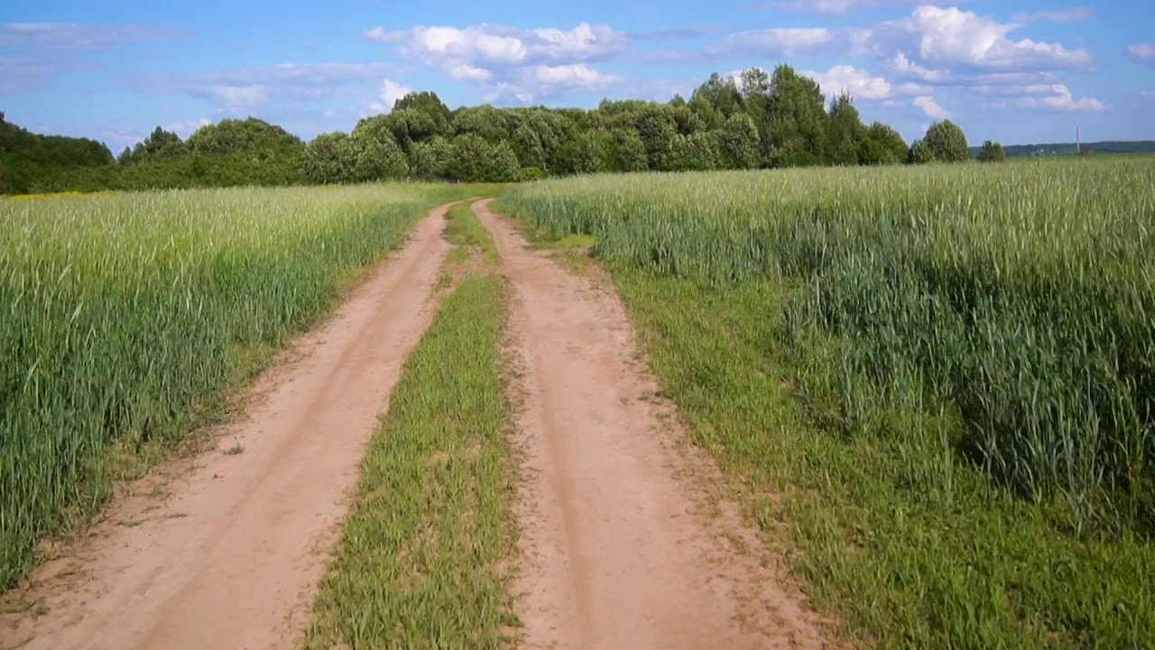 Езда на мотоцикле юпитер 5 по полям. Трясёт, шумит, смотреть на малой ...