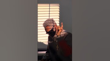 RETRO ZOUK #6.   #alwio #music #ouioui #musique #retrozouk #cover #guadeloupe