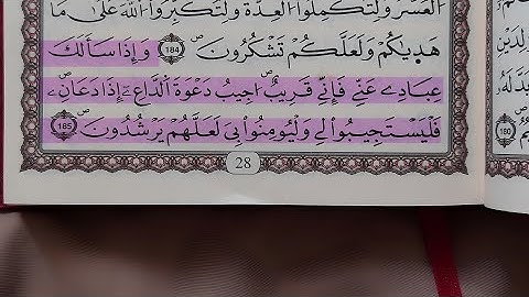 سورة المؤمنون - محمد اللحيدان
