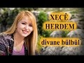 Xecê Herdem Divane Bülbül (Akustik)