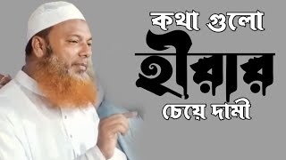 কথাগুলো হীরার চেয়ে দামি আঃ বাসেত খান সিরাজী নতুন ওয়াজ২০২৪ Abdul Based Khan Siraji New Waz 2024