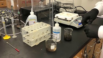 Experiment 7 Procedure