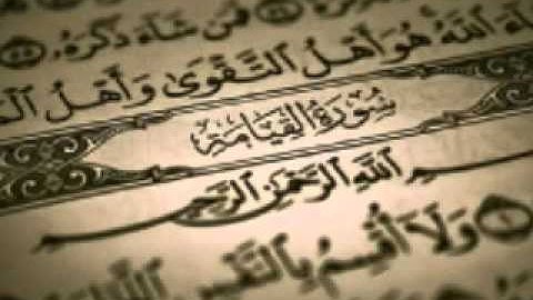 سورة القيامة للقارئ محمد صلاح نافع