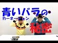 青いバラ(アプローズ)・青いカーネーション(ムーンダスト)の真実PART1~Flower TV