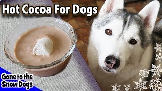 How To Make Hot Chocolate for Dogs | DIY Easy Dog Treats Recipe 91