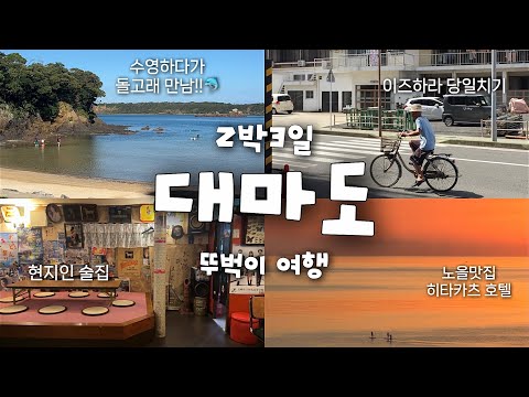 대마도 2박3일 여름휴가🐬🩵돌고래랑 미우다해변에서 수영하는 브이로그 (8월 쓰시마, 히타카츠 호텔, 이즈하라 당일치기, 카스마끼, 카페, 여름휴가)