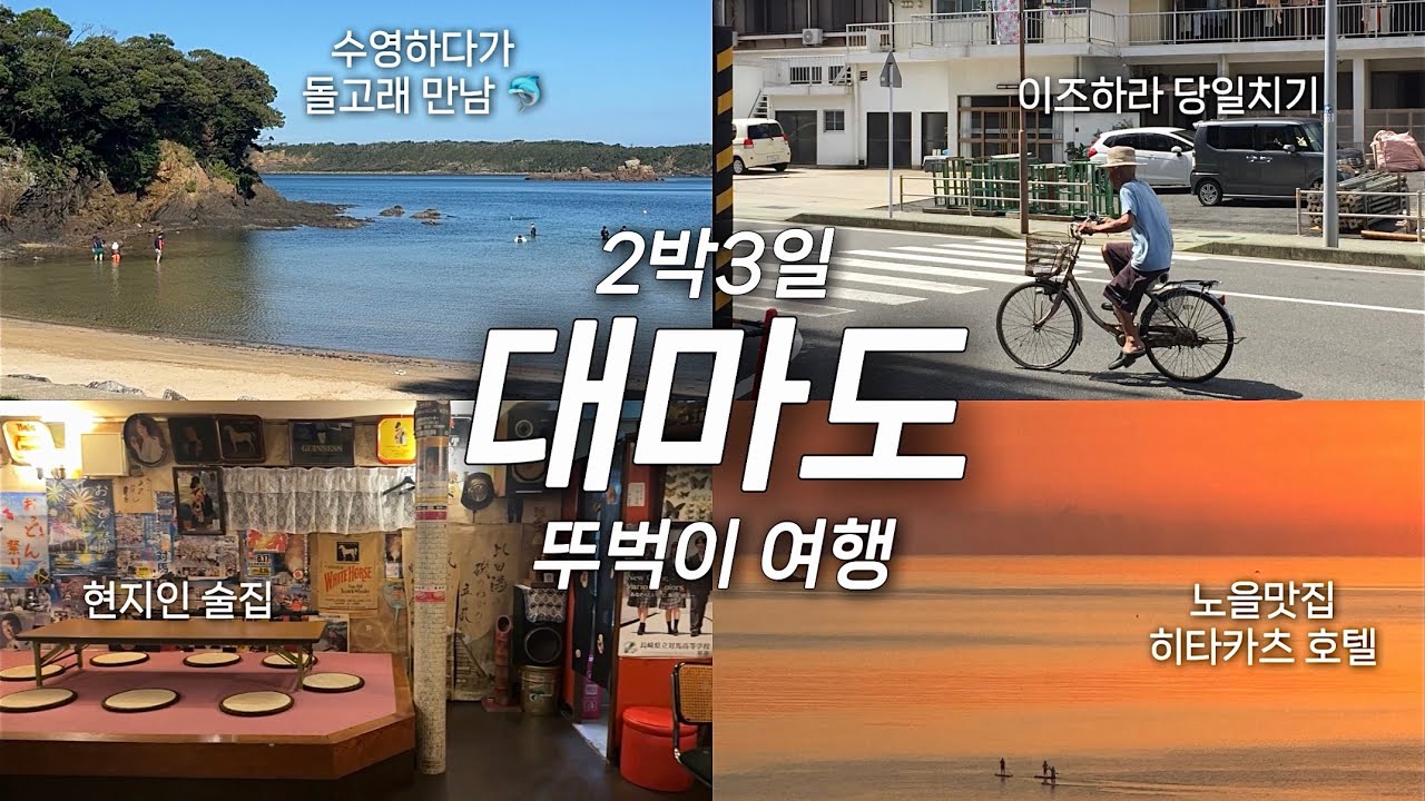 미우다 해변에서 돌고래랑 수영하는 대마도 브이로그🐬🩵 (8월 쓰시마, 히타카츠 호텔, 이즈하라 당일치기, 카스마끼, 카페, 여름휴가)
