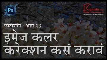 Photoshop Tutorial for beginners | Marathi | Ep 29 | How to Color Correct the Image | Abhay Sawant