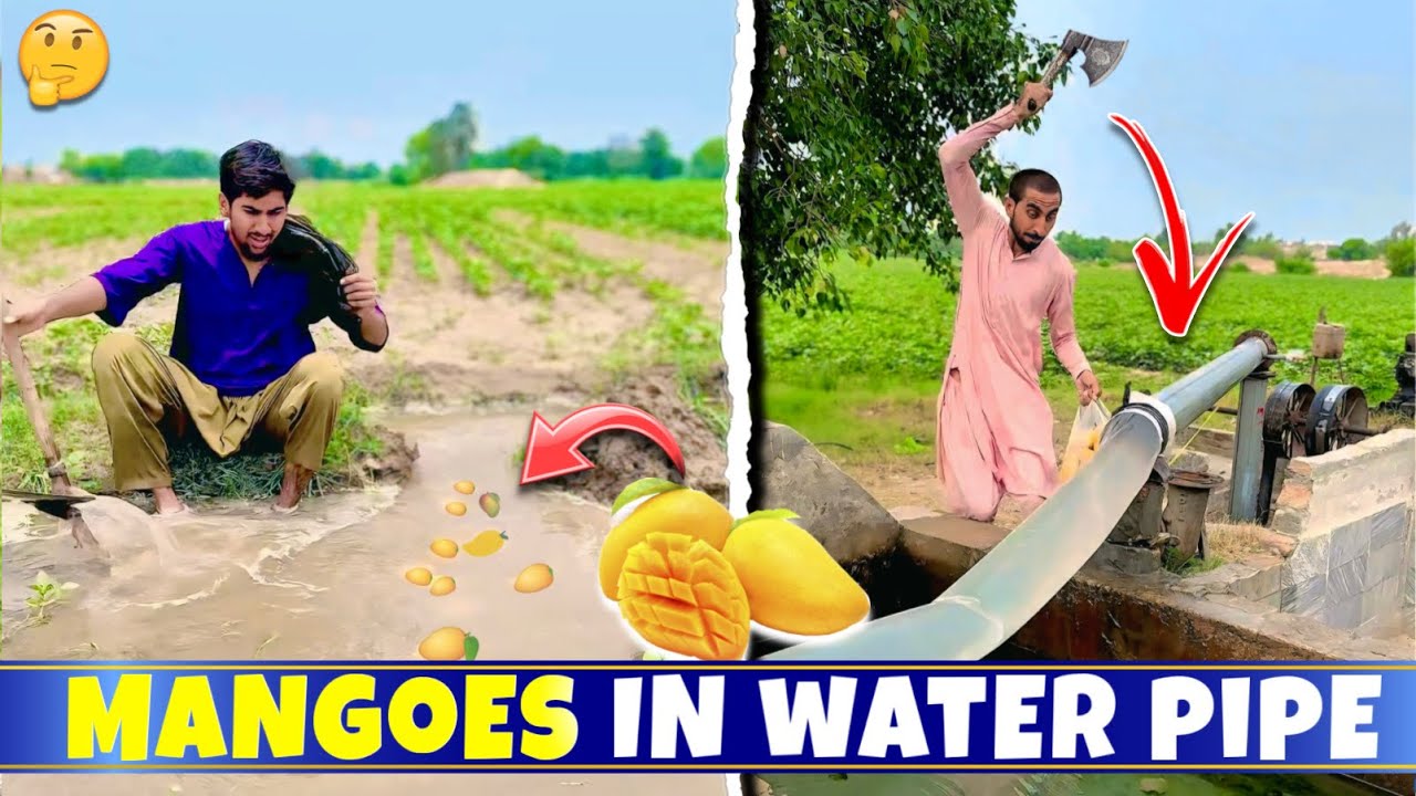 Mangoes🥭 In Water Pipe || Banana Pranks
