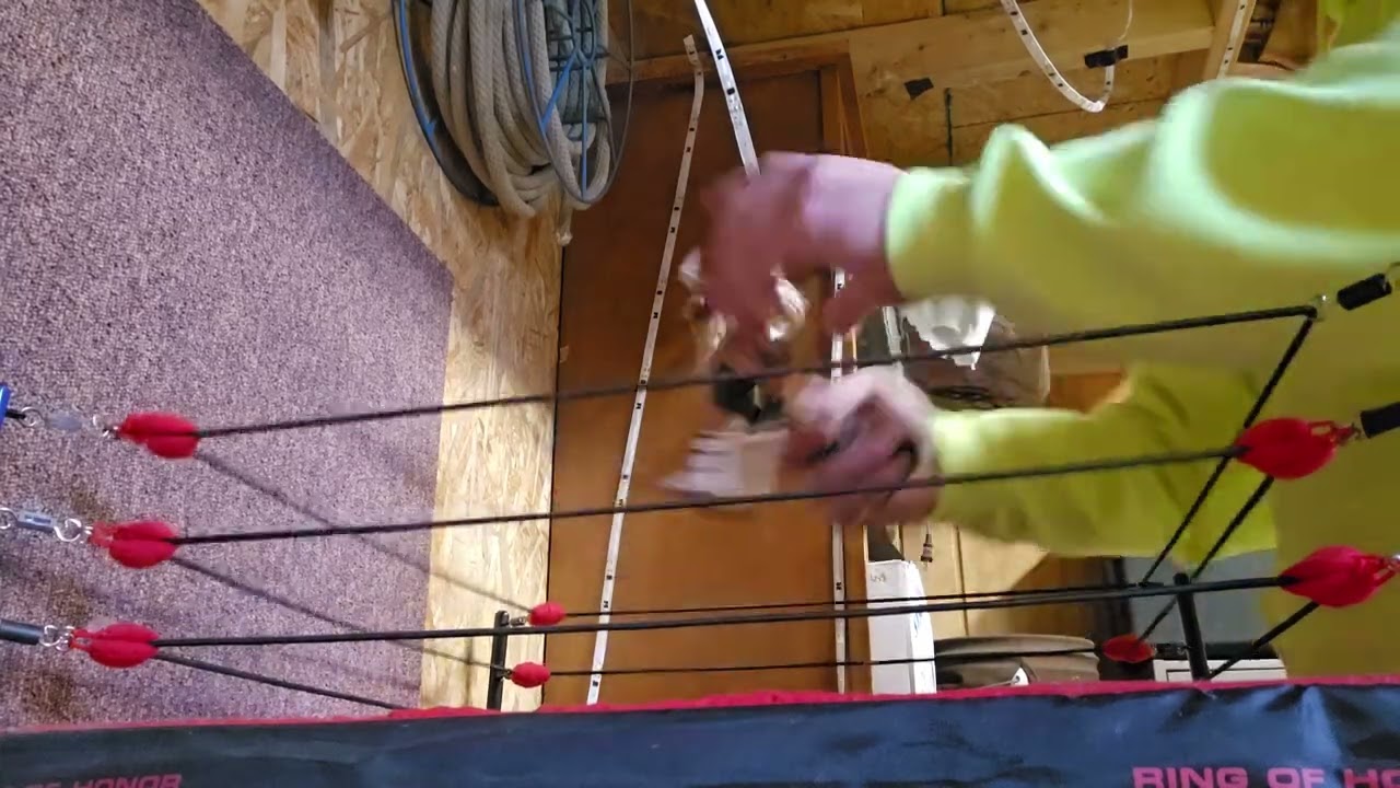 JWF championship match, cm punk vs dolph ziggler