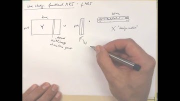 7.3 Case Study: Functional MRI | 7 Regression | Pattern Recognition Class 2012