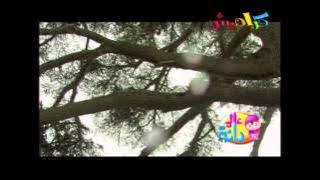 عالم دانا 10| قناة كراميش الفضائية Karameesh Tv