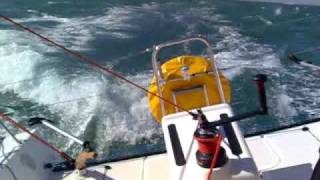 Pogo 40 Vor Beachy Head