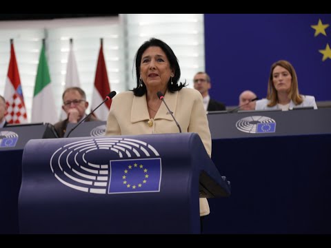 შემოწმებულია: \"ოცნების\" პროპაგანდისტული მედიისა და კრემლის მედიის კოორდინირებული შეტევა პრეზიდენტზე