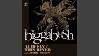 Acid Fly