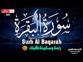 سورة البقرة طاردة الشياطين قران كريم بصوت جميل ومريح جدا تلاوة هادئة للنوم والراحة النفسية 