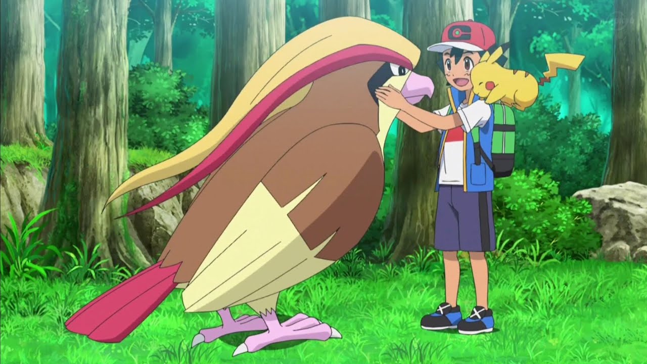 Ash Pidgeot Returned In Last Epsiode Pokemon End Pokemon Last