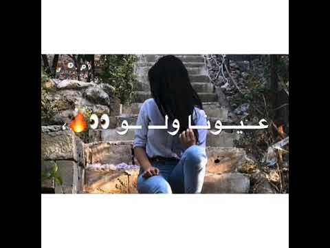 بالصدفة شفتا اغنية روعة