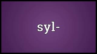 Syl Meaning Wordogram