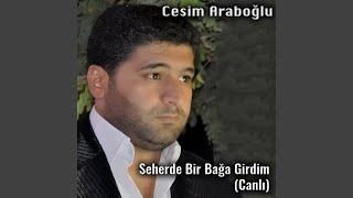 Seherde Bir Bağa Girdim (Canlı)