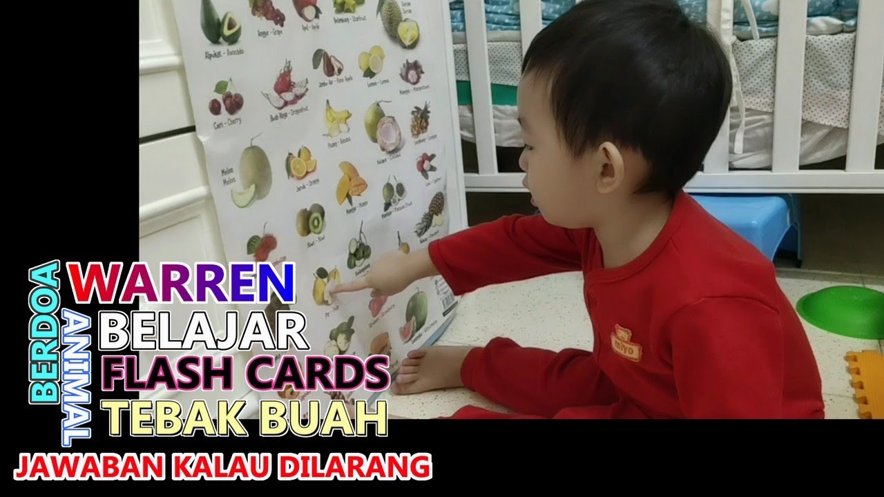  Bayi  Anak Lucu Warren belajar tebak buah binatang 