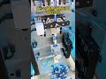 Blueberry Powder Sachet Packing Machine | SKTB-120Q Automatic Powder Packaging Solution