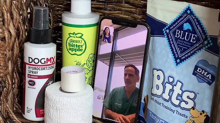 Pets and COVID-19: What you need to know