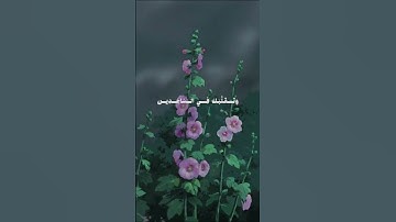 ﴿ وَتَوَكَّلْ عَلَى الْعزيزِ الرَّحِيمِ﴾[ الشعراء:]#سورة_الشعراء #بدر_التركي #قران_كريم #قران #قران