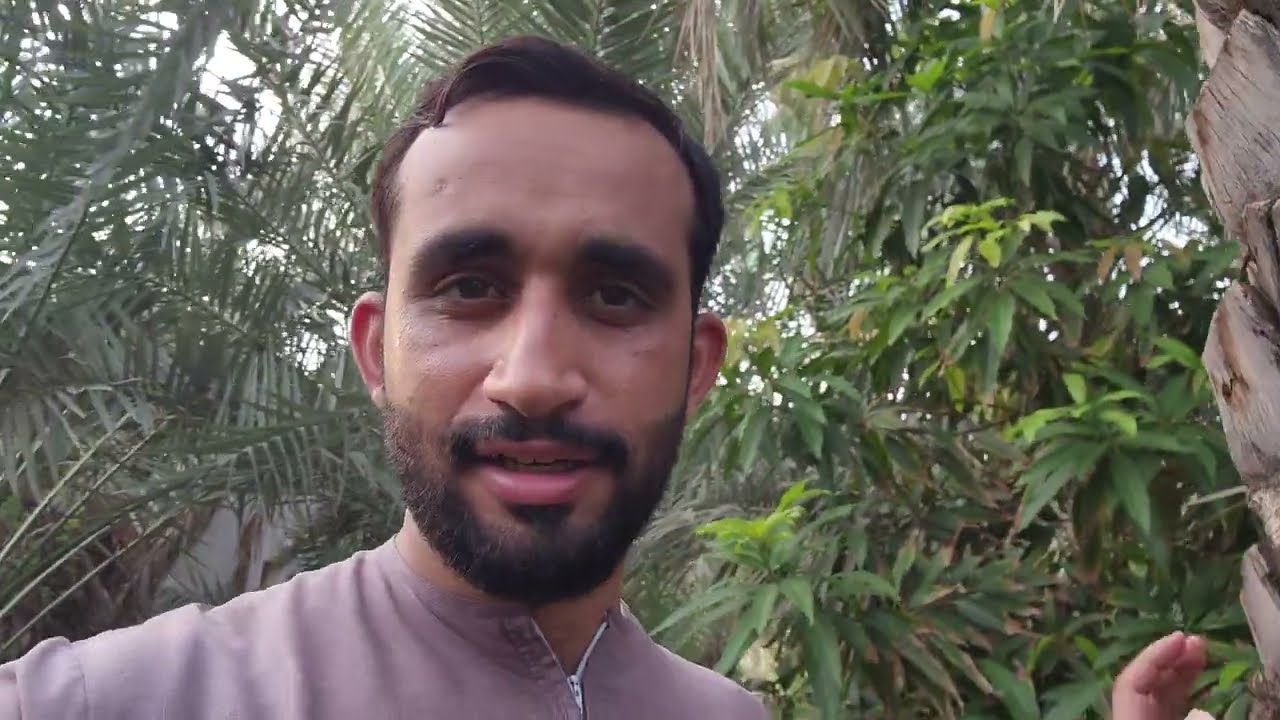 تربية خلايا نحل أبو طويق العماني و السيطرة على الخلية لأطول فتره ممكنة و صناعة بيوت النحل بسهولة