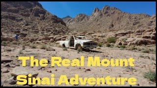 Short Film: The Real Mount Sinai Adventure