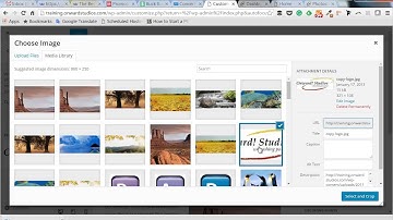 How to Update Your Header / Logo on Your WordPress Website