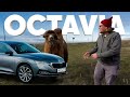 Новая Skoda OCTAVIA - Большой тест-драйв