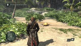 Assassin's Creed 4 Black Flag Localização do Tesouro Cape Bonavista 179,593  