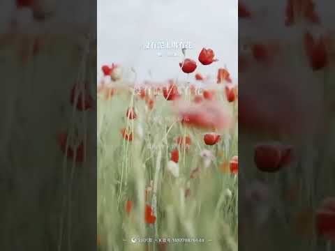 没有泥土那有花
