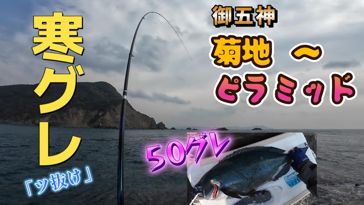 磯釣り御五神  今年はグレの当たり年⁉