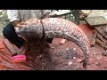 Ruho fish cutting and cleaning Kaliakoir fish market #fishcutting #expert #fishing #cuttingskills