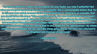 1 Peter 2:21-25 Bible Daily Verse #shorts  Christ Jesus Messiah *