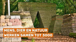 De eerste ecokathedraal is een oneindige samenwerking